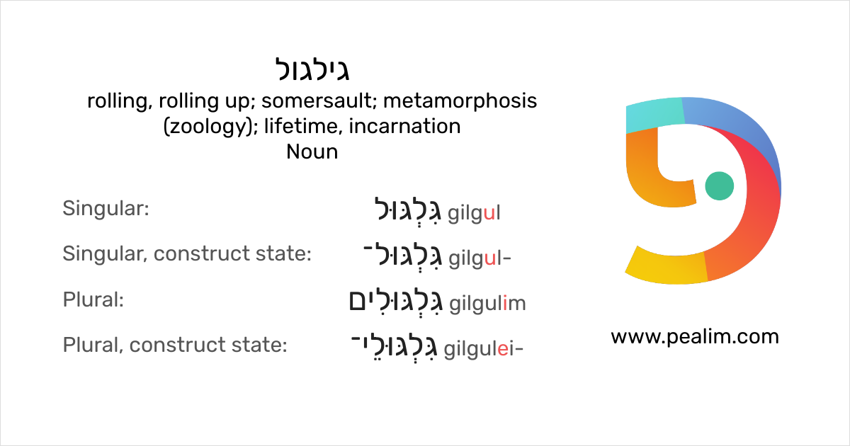 גילגול Rolling Rolling Up Somersault Metamorphosis Zoology