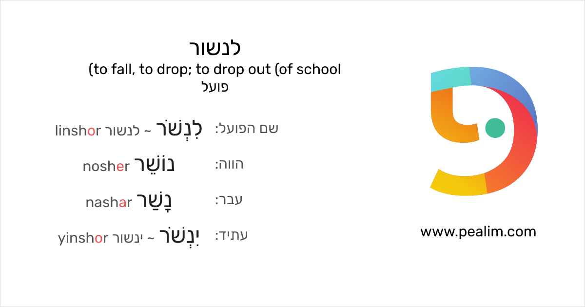 Other Words For Drop Out Of School