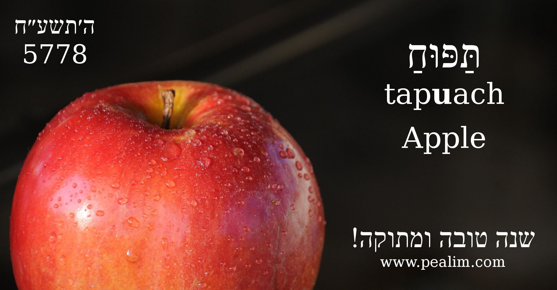 word-of-the-day-apple-hebrew-conjugation-tables